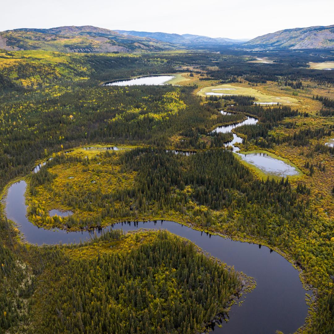 Aerial view of the Nordenskiold River (Tsǟlnjik Chú) south of Carmacks.